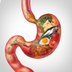 Magengesundheit Foto