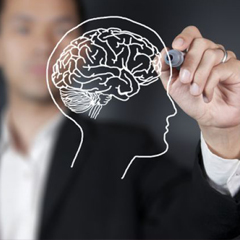 Nootropika: Kognitive Leistungssteigerung Foto